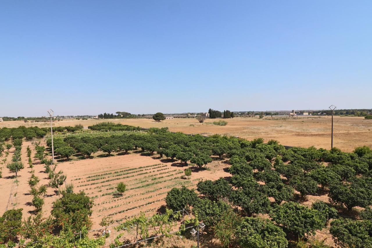 Tenuta Degli Agrumi Carmiano  Dış mekan fotoğraf